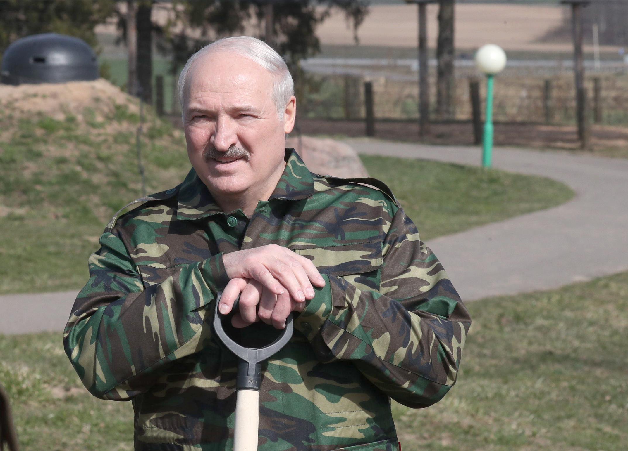 Лукашенко высаживает яблоневый сад на своей малой родине