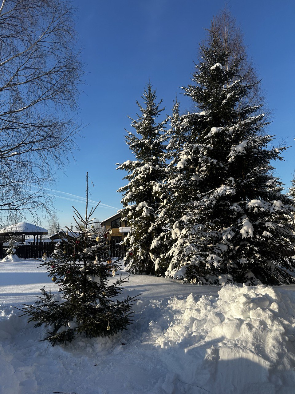 В Москве и области объявили оранжевый уровень погодной опасности