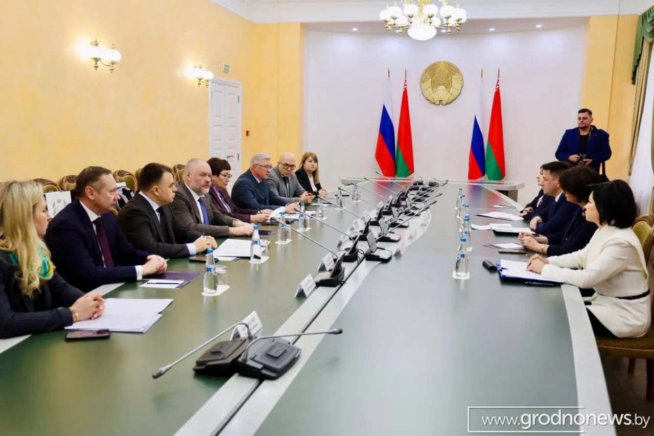 парламентарии Союзного государства обсудили будущее совместного здравоохранения